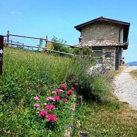 Il Pero Selvatico Bed & Breakfast *